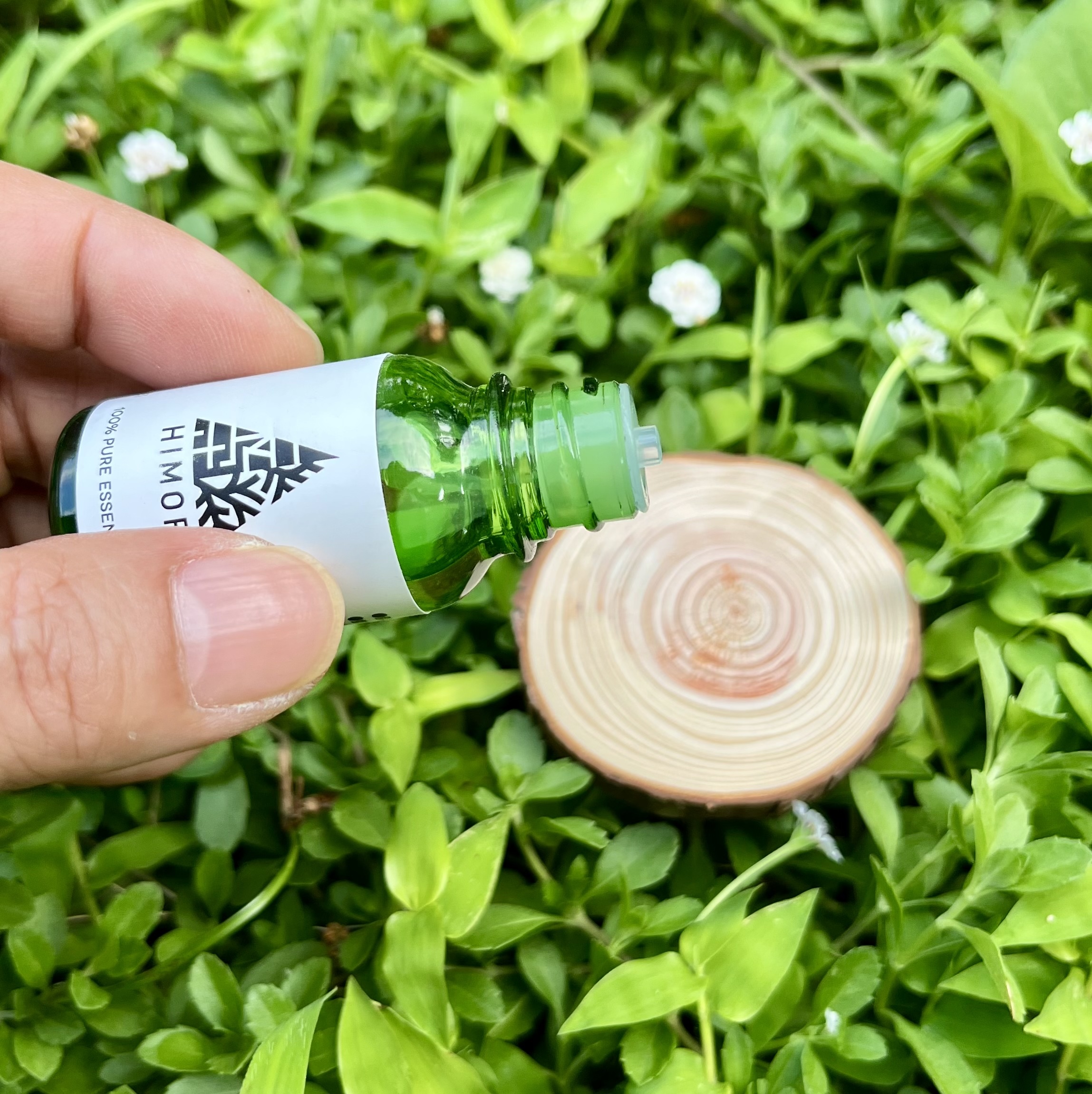 ひのきの妖精ひのここ（3体）⭐️ひのき精油セット